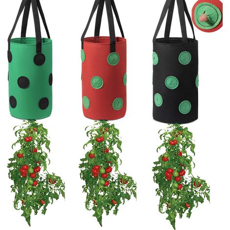 Filiyano-Jardinière suspendue à fraises pour fenêtre, lot de 3 (20x20x35cm) (1/4)
