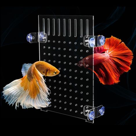 40x30 cm Grille Aquarium Séparateur Diviseur d’Aquarium en Acrylique Plaque de Séparation avec Ventouses pour Aquarium (1/5)
