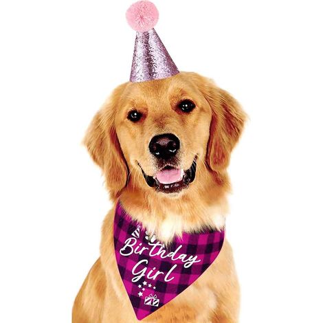 1 Bavoir à carreaux + 1 chapeau d'anniversaire, déguisement pour chien et chat, accessoire fête animaux de compagnie (1/5)