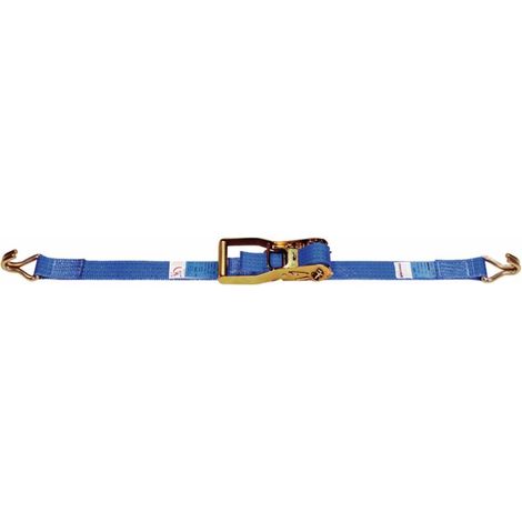 Dolezych Zurrgurt DIN EN 12195-2 Länge 6 m Breite 50 mm mit Ratsche + Spitzhaken LC U 4000 daN