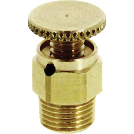 Purgeur d'air à volant rotatif 1/8'' - WATTS - 101332