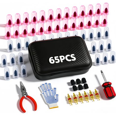 Kit de Réparation Pneus 65 Pièces avec Clous en Plastique, Outils de Réparation Rapide pour Crevaison (1/4)