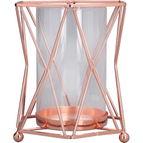 Vase en verre transparent avec support en fer forgé pour plantes hydroponiques, idéal pour salon