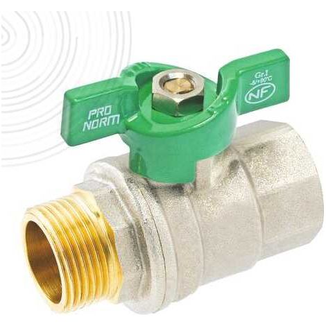 Vanne à sphère NF PN25 Passage Intégral ACS Papillon Vert Mâle/Femelle 1" (26/34) SOMATHERM