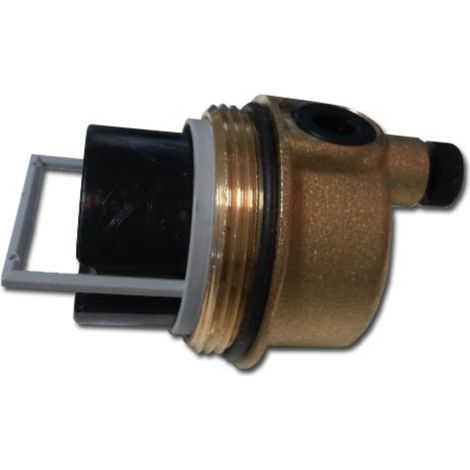 Purgador bomba roscada + o-ring Immergas Saunier