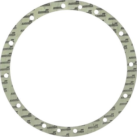 Guarnizione corona dentata riduzione anteriore Andoria circellit 0,8 mm Zetor ZTS Ursus C-385 (1/2)