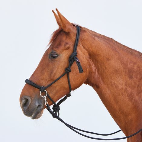 Kieffer Knotenhalfter Ruby - schwarz - G-Pony (1/5)