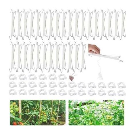 Crochet de tomates,30 Pièces Crochet de Support de Tomate,avec 30 Clips pour Plantes,Crochets de Support pour tomates avec Ficelle, (1/5)