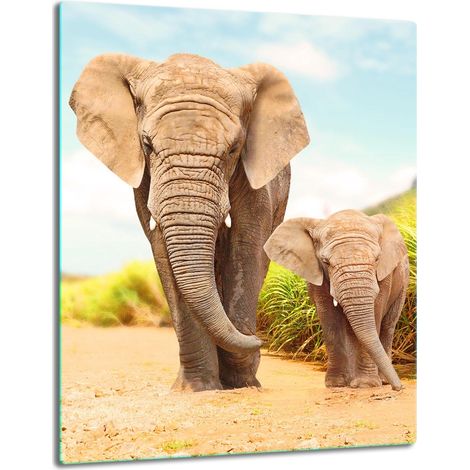 TABLERO DE MESA DE PANEL DE PLACA DE CRISTAL 40x52 ELEPHANT (1/5)