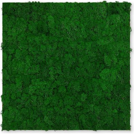 JANGAL Modular Wall Akustik 3D Paneele  520 x 520 mm Nature Green Moos Moos Pflanzenwand Paneele Echtmoos (1/5)