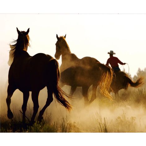 Wild West, photo murale intissée, 360x270 cm, 4 parts (1/2)