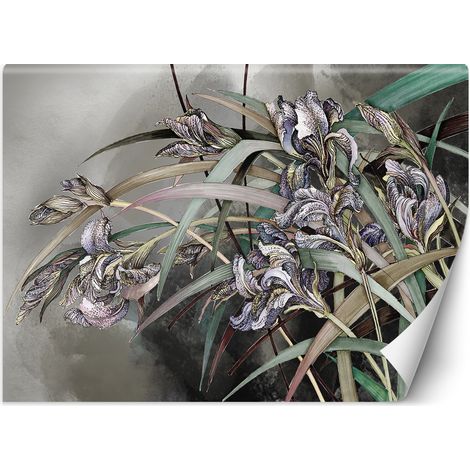 Fototapete Irises Blumen Blumenstrauß Natur Pflanzen Lila 100x70 cm