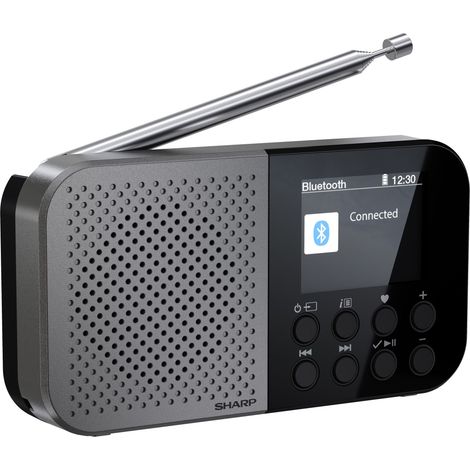 SHARP Digitalradio-tragbar DR-P520, schwarz, DAB+, Bluetooth, USB-C (1/5)