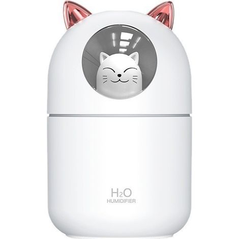 Mini humidificateur USB 300 ml, brume fraîche réglable portable silencieux (1/5)
