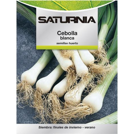 Semillas Cebolla Blanca (4 gramos) Semillas Verduras, Horticultura, Horticola, Semillas Huerto. (1/2)