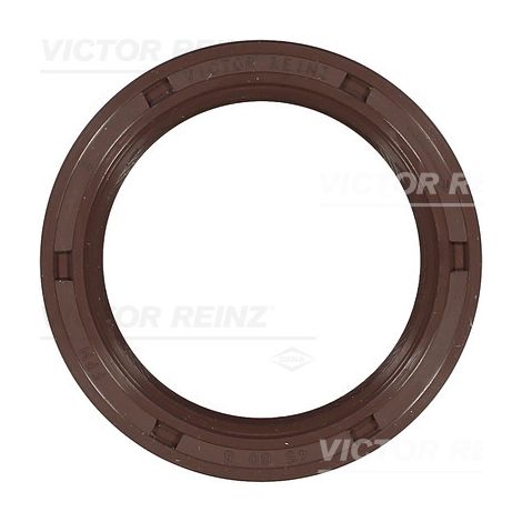 BAGUE D'ÉTANCHÉITÉ 813760800 REINZ