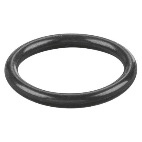 Rems O-Ring 060006