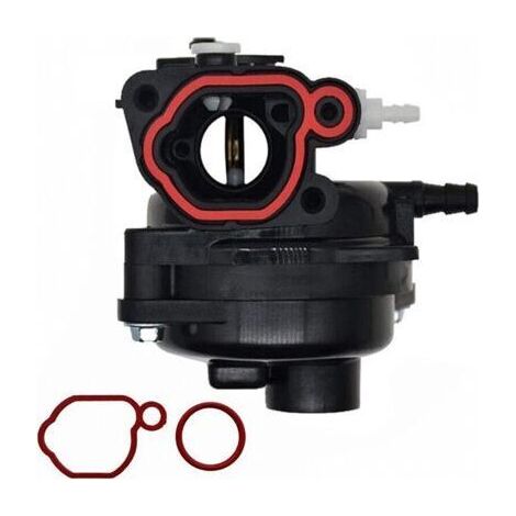 Carburateur pour moteur de tondeuse à gazon Briggs-Stratton 300E 450E 500E 550EX 500 125cc 140ccc 799583 (1/5)