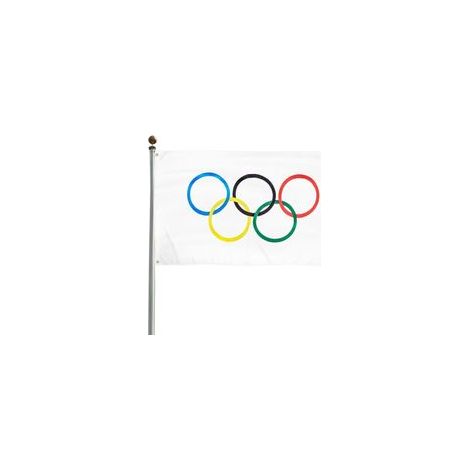 Professional fall protection equipment for working at height. Complete kit with harness, lanyard and stainless steel carabiner.