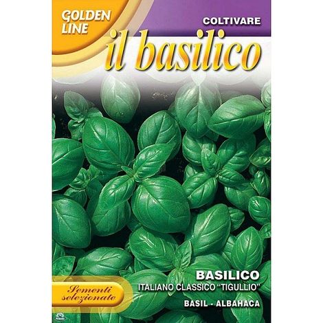 SEMENTI DI BASILICO ITALIANO GENOVESE CLASSICO orto giardino semi seeds