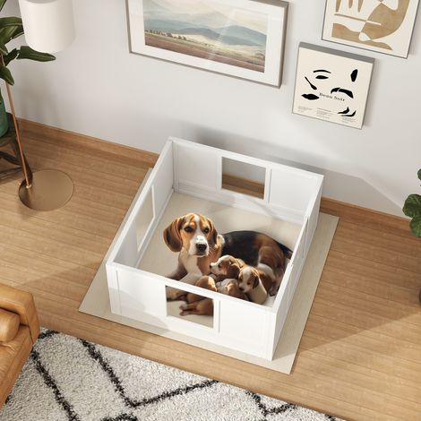 Bac pour chiots pour chiens petits et moyens - blanc - coussinets antidérapants pour les pieds - Qualité