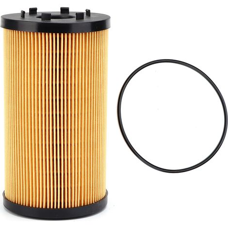 Filtre à huile moteur avec joint torique compatible Dennis Eagle 21913334 (1/5)