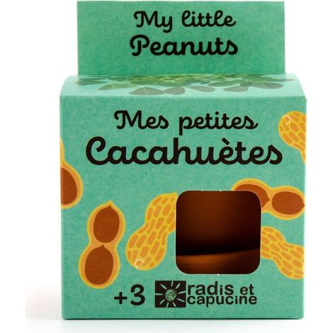 Kit plantation - Cacahuète - 8cm (1/5)