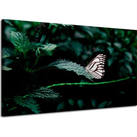 Lienzo impreso Naturaleza Mariposa sobre una hoja 120x70