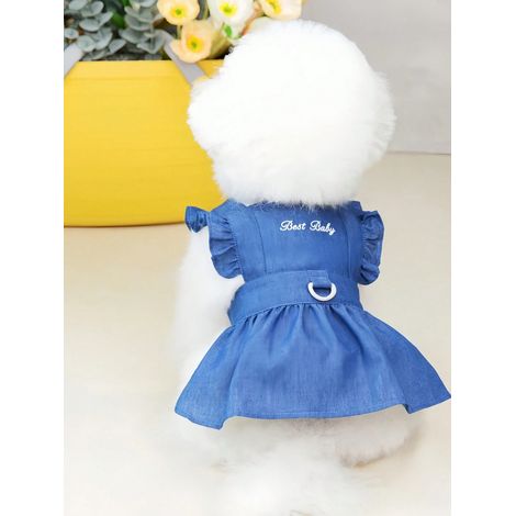 1 pièce Robe pour animal domestique brodée de lettres mignonnes, pour chats et chiens. Costume à bordures volants, tenue pour fête de Noël, photos de vacances, cadeau d'anniversaire, vêtement pour chi (1/5)