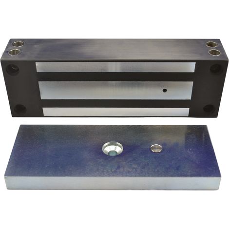 Ventouse EM applique IP 67 acier inox 1200 lbs 12/24V DC Contact Hall (1/3)