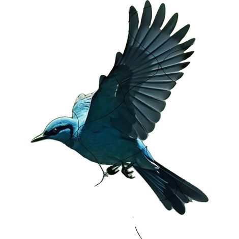 Malla antipájaros, 30 x 15 metros, poliéster, forma rectangular, alta resistencia a la tracción, resistente a los rayos UV. (1/5)