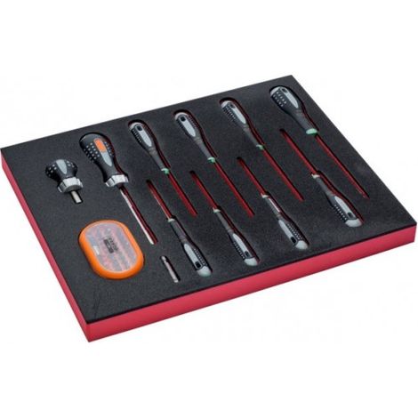 BAHCO - Jeu de tournevis TORX®/embouts, module mousse 2/3 Fit&Go - 12 pcs