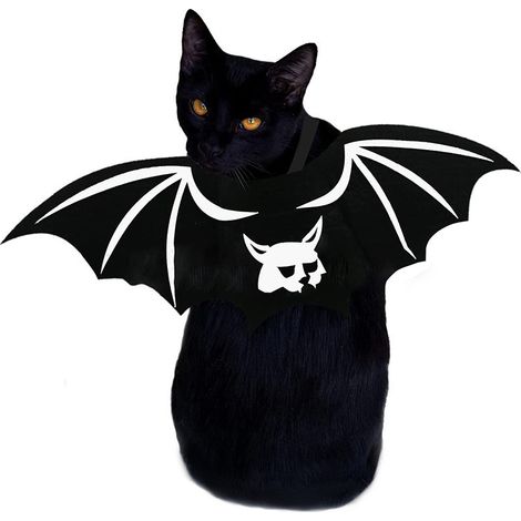 Halloween-Fledermaus-Haustierkostüm: Böse Flügel, schrecklich hübsches Haustierkleid (1/3)