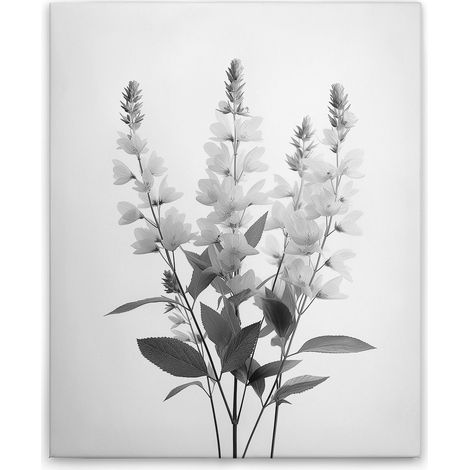 Leinwandbild Blumen Vintage SW M1-No.51791 - Kunstdruck auf Leinwand in Schwarz Grau - Wandbild 40 x 50 cm (1/5)