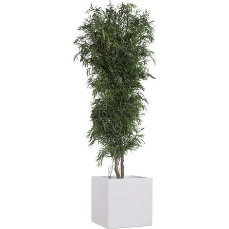 Albero Nicoly stabilizzato h 130 (1/2)