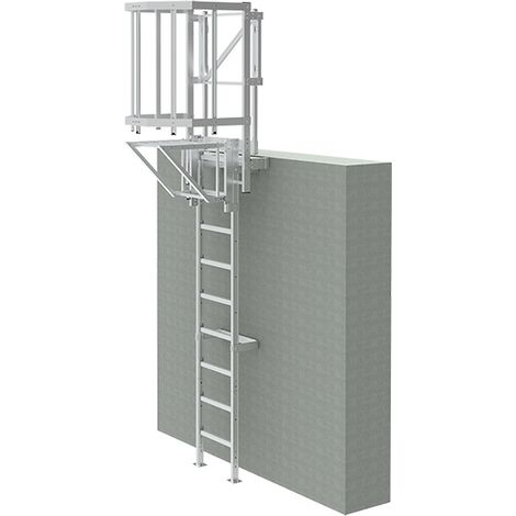 Echelle à crinoline avec trappe de condamnation - Hauteur 2.80m à 3.10m - CS31-CVAP (1/5)