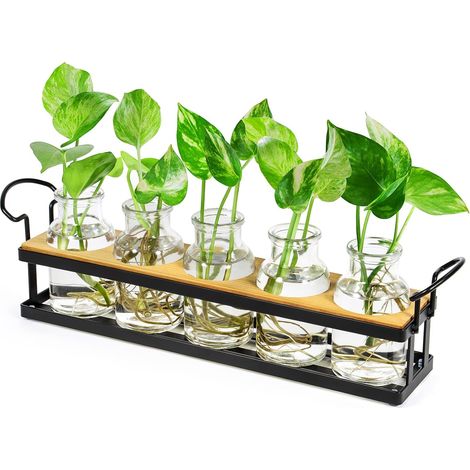 Vase en Verre Station de Propagation Support en métal, Jardinière rétro en Verre Tube à essai pour Plantes hydroponiques Vases à Fleurs Décoration Maison, Bureau et Patio (1/5)