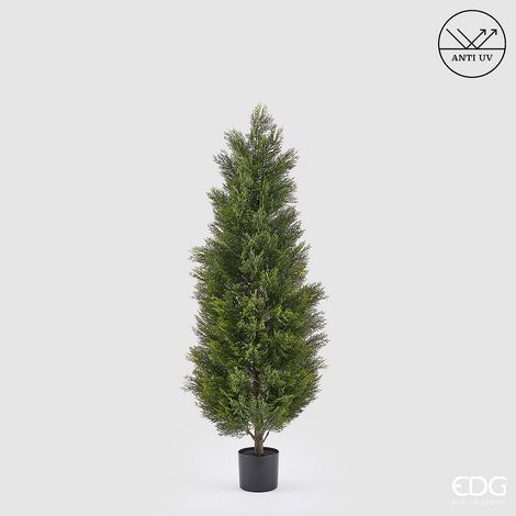 EDG Enzo De Gasperi Pianta Artificiale Cipresso H 150 Cm Verde con Vaso – Anti UV per Interno ed Esterno (1/3)