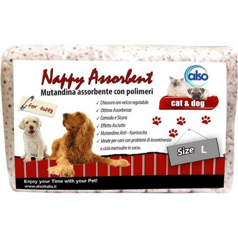 PANNOLINI MUTANDINE NAPPY ASSOR (10 PZ) MIS. L