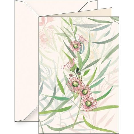 Carte B6 + enveloppe 6123 Eucalyptus camaldula
