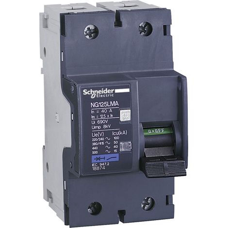 Schneider 18875 Disjoncteur moteur NG125LMA 63A 2P 2D (1/2)