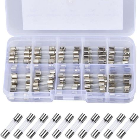 100 Pcs Fusible Verre à Fusion Rapide, 5 x 20mm 250V Assortiment de Fusibles Verre 0.2A, 0.5A, 1A, 2A, 3A, 5A, 8A, 10A, 15A, 20A, Fusibles Verre Coup Rapide pour Maison Électroménager (1/4)