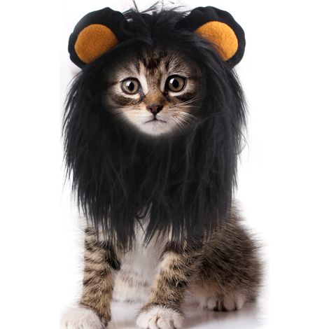 1 Déguisement Lion pour Chat et Chien, Crinière Réaliste avec Oreilles, Accessoire Cosplay pour Fêtes d'Halloween