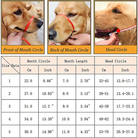 Muselière résistante et durable pour chiens de taille moyenne à grande, avec masque réfléchissant pour grands chiens, empêchant les morsures et les aboiements (accessoires pour lévriers d'Alaska).