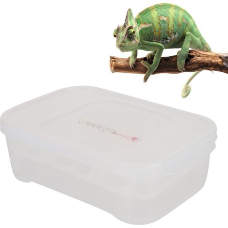 Incubateur pour petits reptiles à 12 compartiments, boîte d'éclosion professionnelle pour l'élevage de lézards grimpants. (1/5)