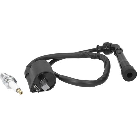 Kit bobine d'allumage et bougie d'allumage, accessoire de remplacement pour véhicule Yamaha Grizzly 660/660R (1/5)