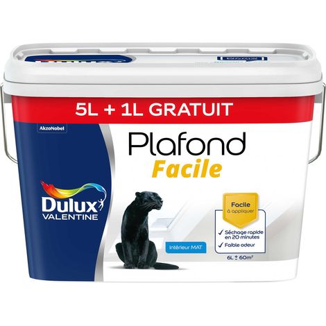 Peinture Plafond Facile Dulux Valentine Mat Blanc 5 L + 1