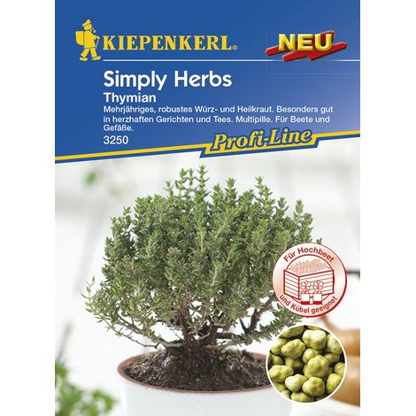 Kiepenkerl Thymian Thymus vulgaris, Inhalt ca. 15 Pflanzen Gemüsesamen (1/2)