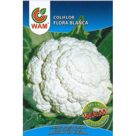 Graines de chou-fleur WAM WAM - Plus de 3 gr