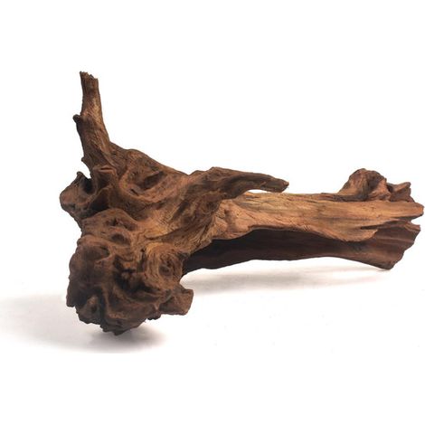 Racine de Mopani Bois Flotté Naturel Décoration pour Aquarium et Terrarium Décor Unique Paysage Aquatique Animaux Aquatiques